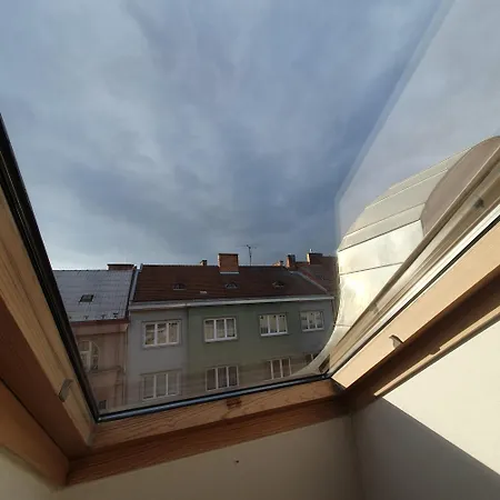 Utulny Byt V Centru Brna Apartament *