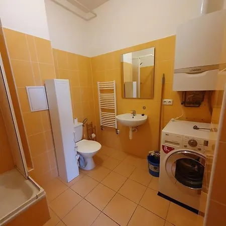 Apartament Utulny Byt V Centru Brna