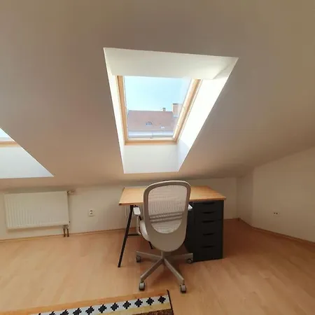 Utulny Byt V Centru Brna Apartament Brno