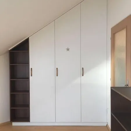 Apartament Utulny Byt V Centru Brna Brno