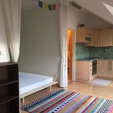 Utulny Byt V Centru Brna Apartament Brno